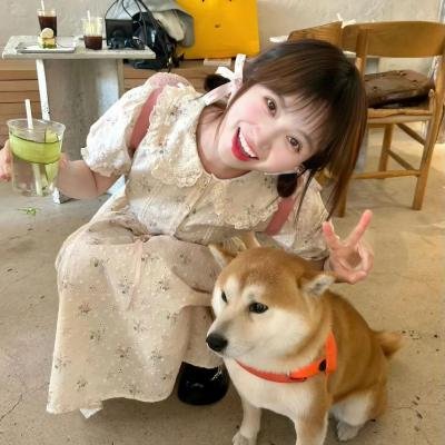 和解在后粤语